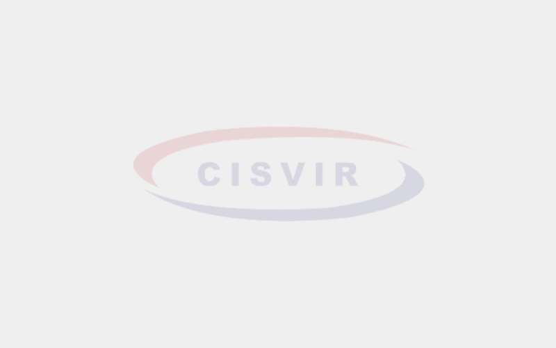 5º Congresso Paranaense de Saúde Pública/Coletiva Online: Participação do CISVIR